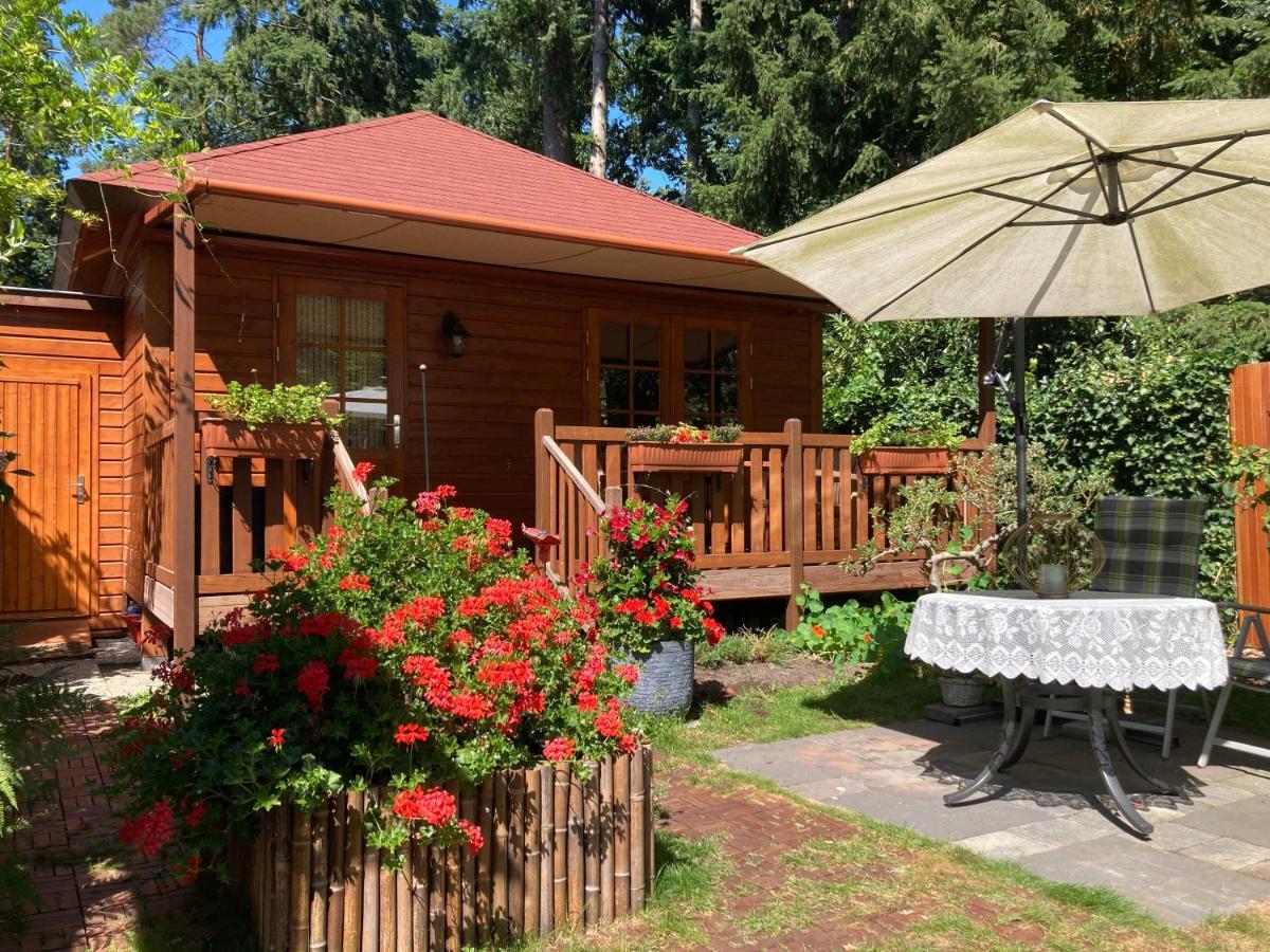B&B Porcini Ermelo Exteriér fotografie